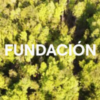 Fundación