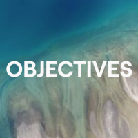 Objectives