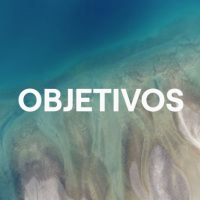 Objetivos